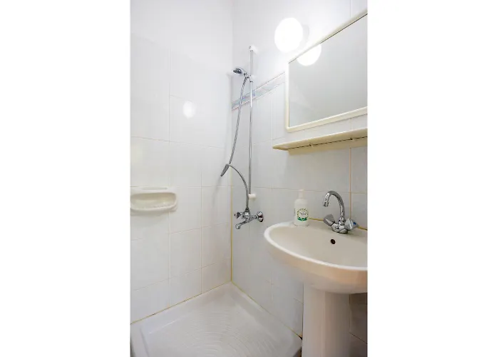 Aristotelis * アルガカ