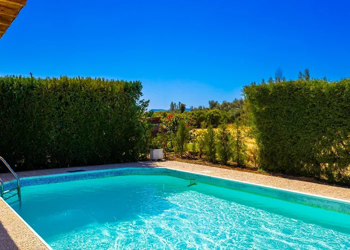 Aristotelis アルガカ